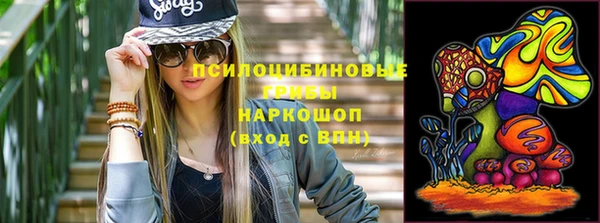 прущие крисы Аркадак
