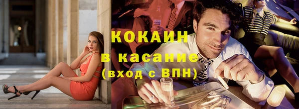 прущие крисы Аркадак