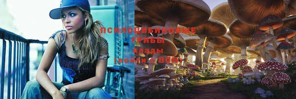 прущие крисы Армянск